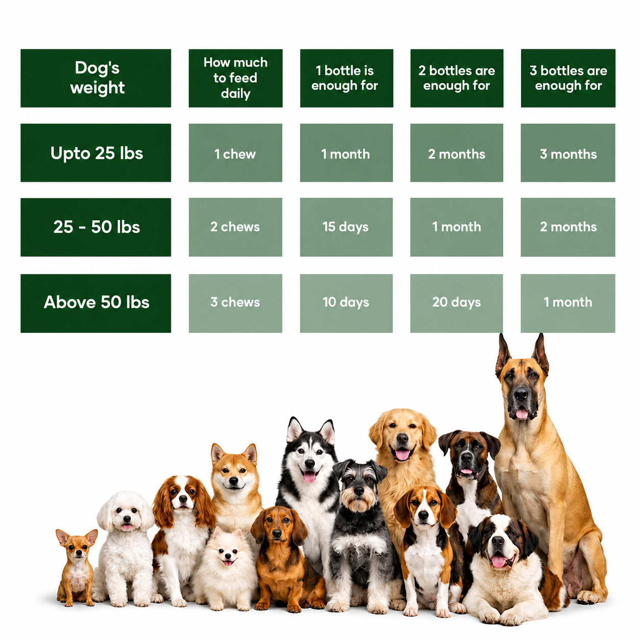 Elirro DermaPrex: A New Age Natural Formula For Itching, Bald Spots, Inflammation, Paw Licking & Allergy